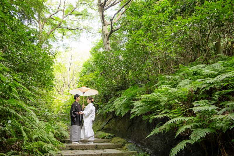 緑が綺麗な中での撮影