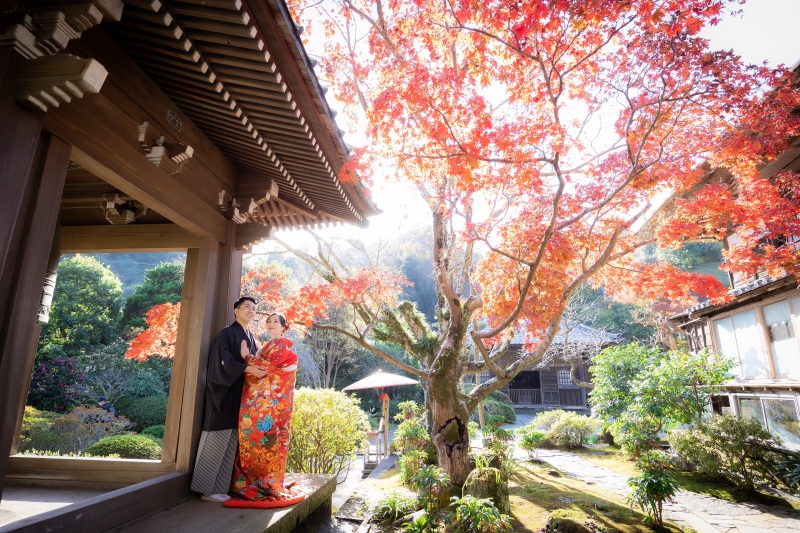 見事に赤く染まったモミジ。