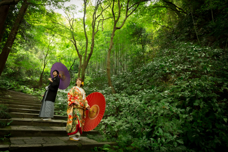 深緑の緑の中で