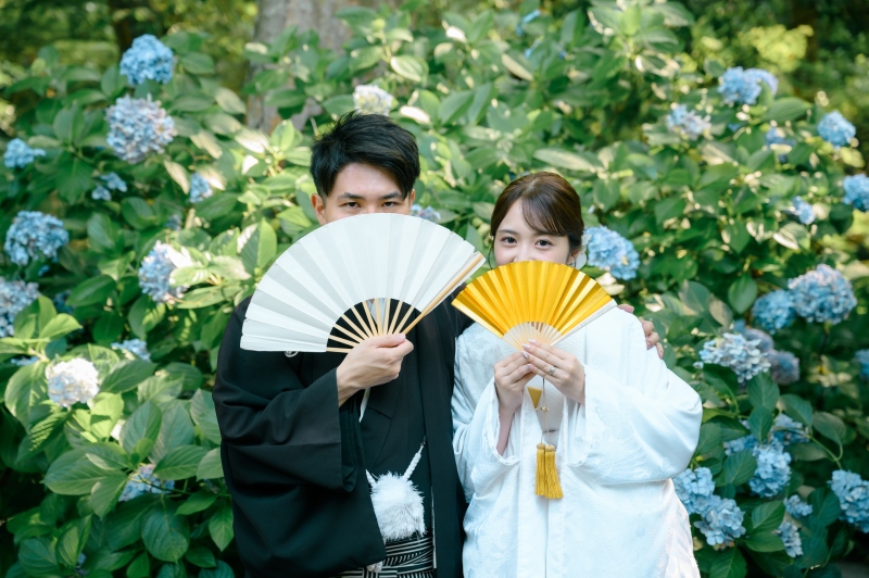 紫陽花♪