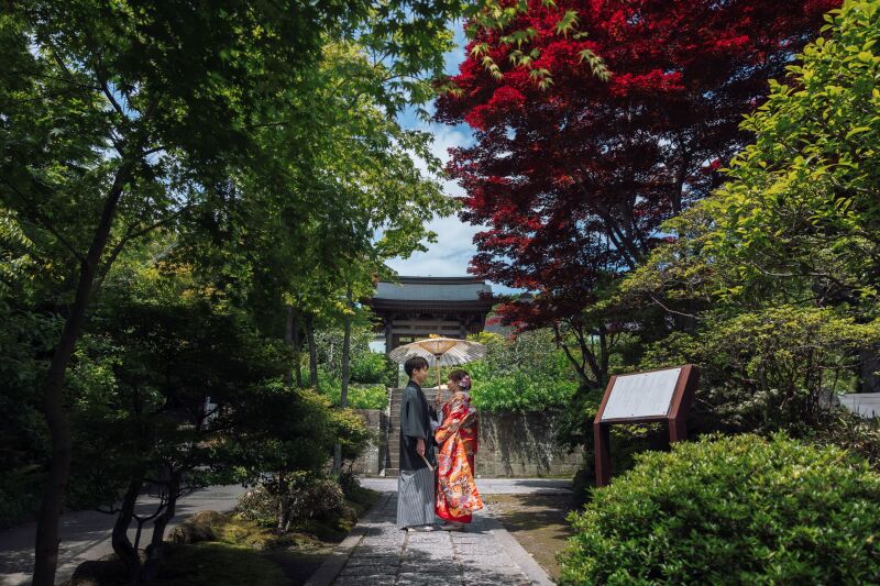 新緑と“赤モミジ”