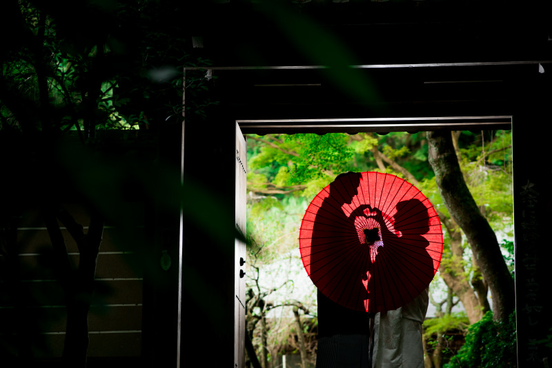 ロケーション弐点プラン