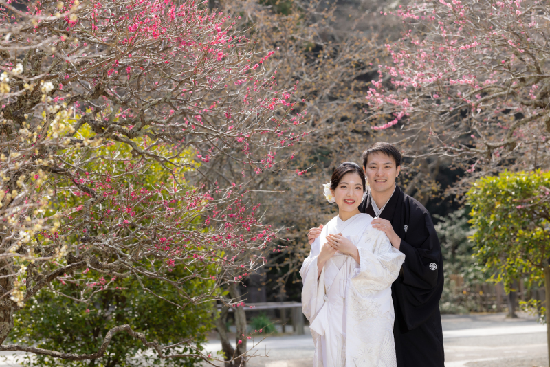ピンクの濃淡の花が可愛らしい。