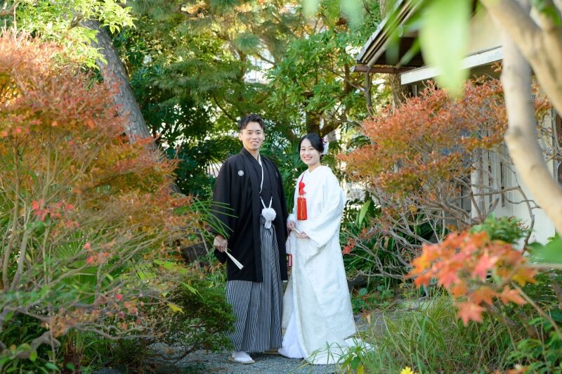 《 古民家の庭 》