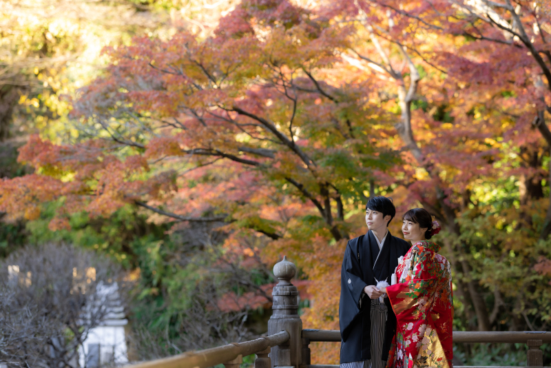 回廊から臨む紅葉がちょうど見頃でした。