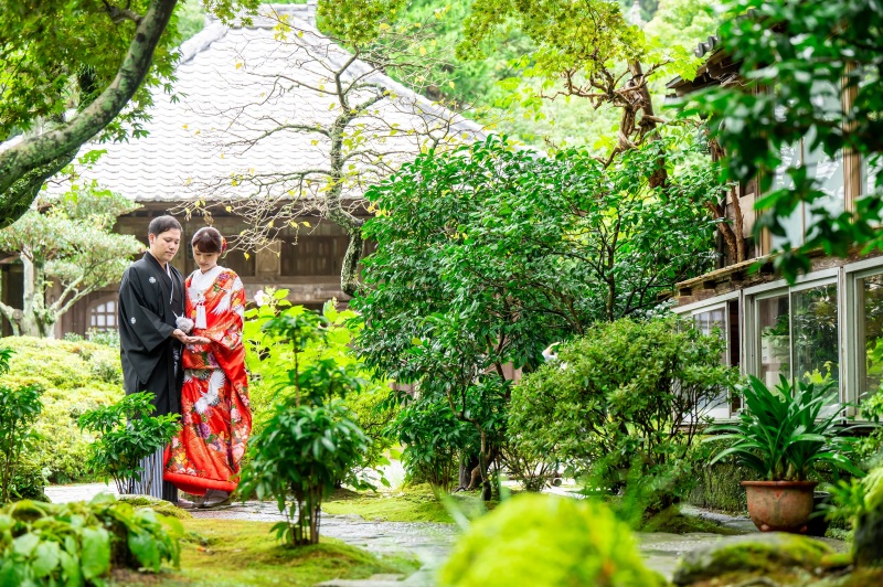 雨上がりの緑の美しさ。
