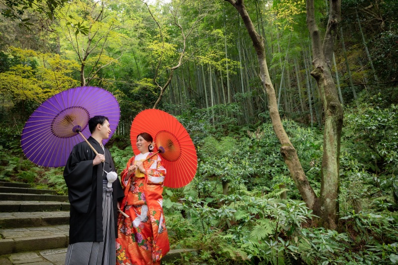 苔むした光景が静けさを物語る参道。