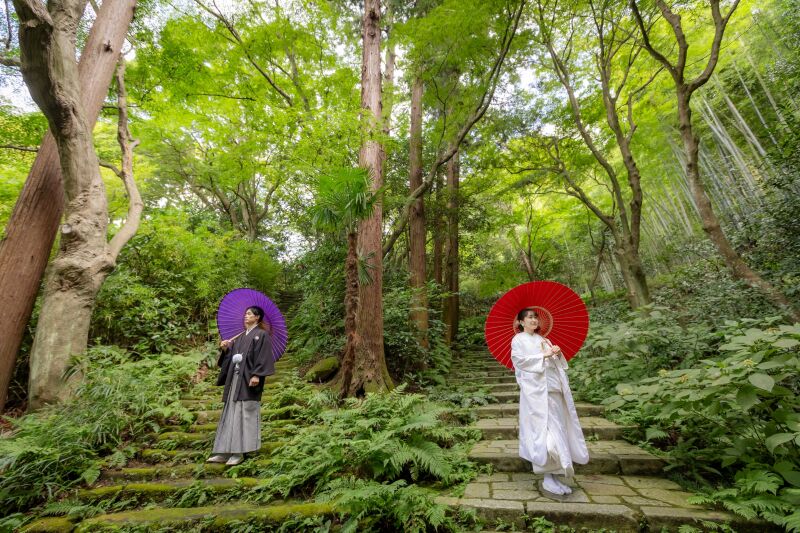 竹林をバックに