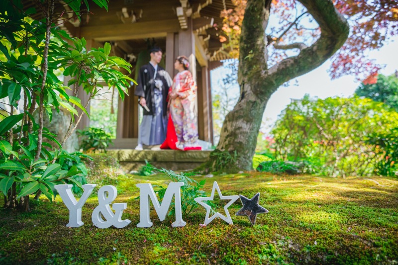 新緑の季節の撮影