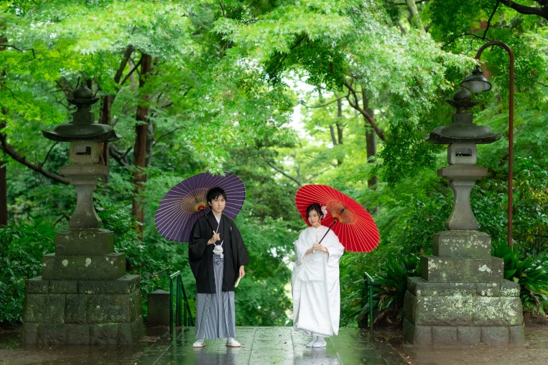 緑が生き生きとして、美しい初夏のご撮影。