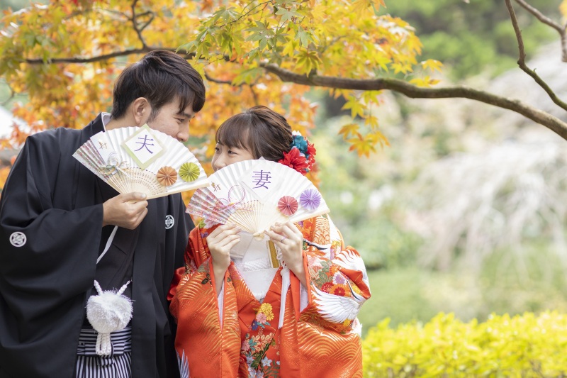 モミジのグラデーション。