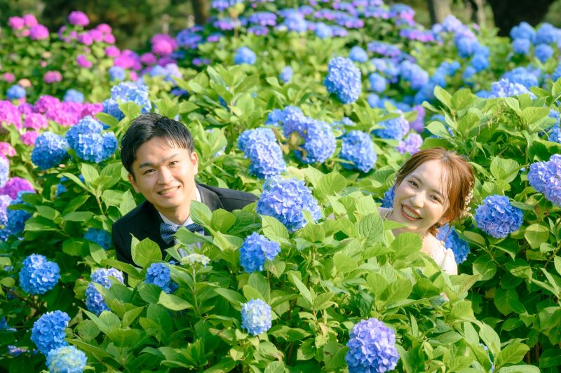 紫陽花スポットもたくさん☆