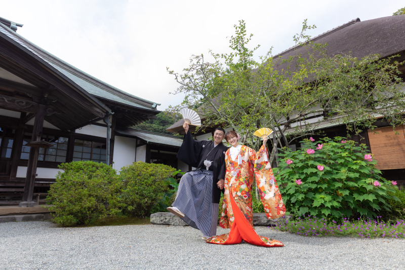 芙蓉と桔梗の花が咲いていました。