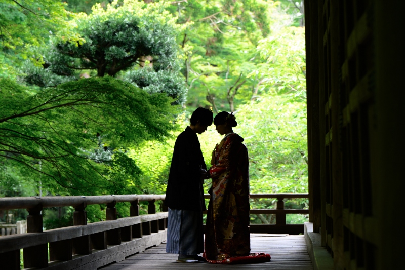 新緑の季節の妙本寺で撮影