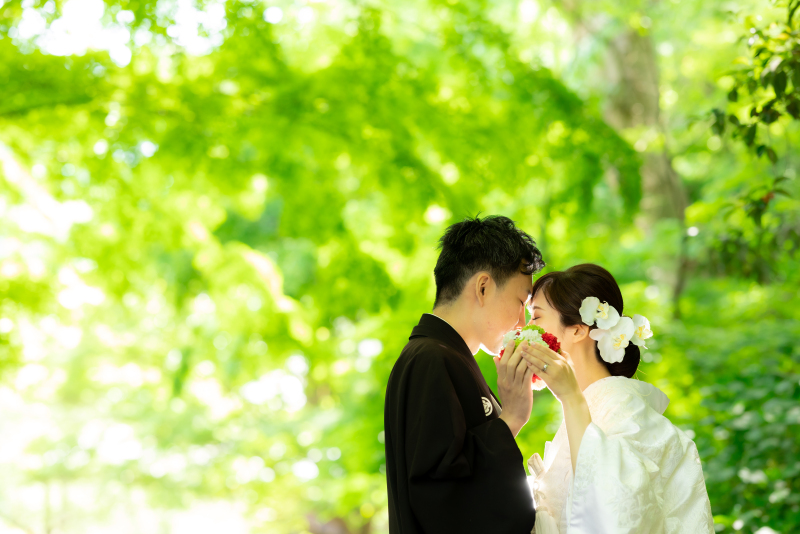 新緑が眩い°˖✧＊.°・