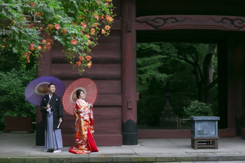 ノウゼンカズラが見頃でした。