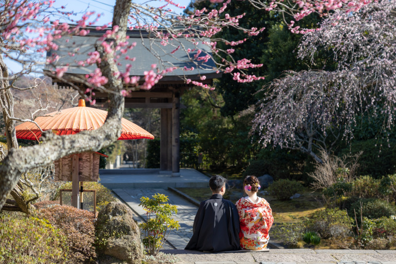 枝垂れ梅も見頃となりつつありました。