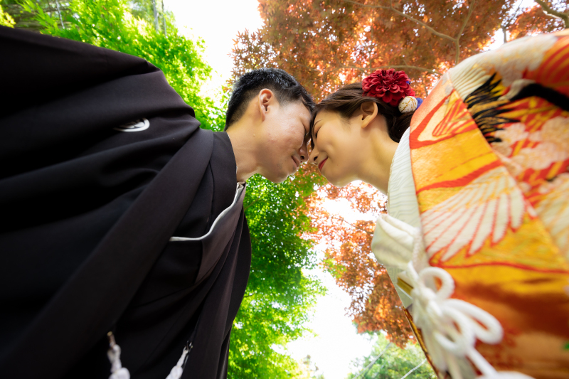 色彩を活かしたローアングルショット。