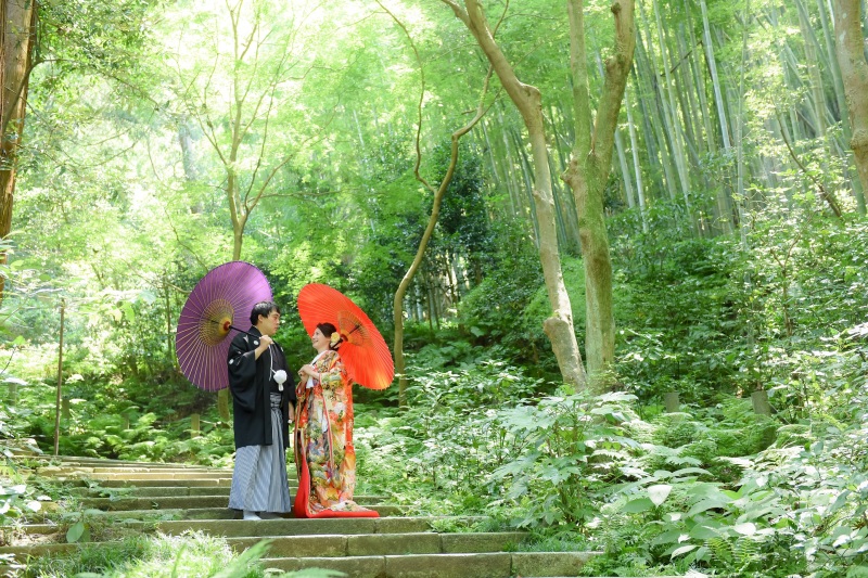 竹林をバッグに