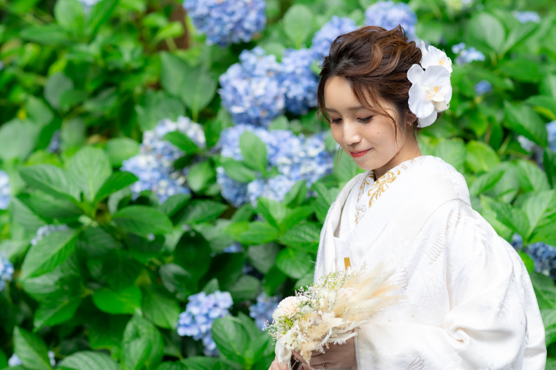 紫陽花が見頃でした。