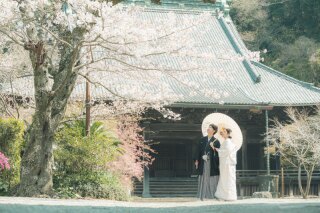 ３月の和装壱点プラン～妙本寺～