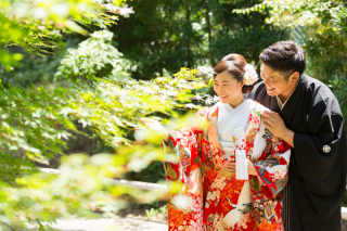 ロケーション弐点プラン