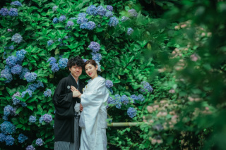 紫陽花の時期の撮影です