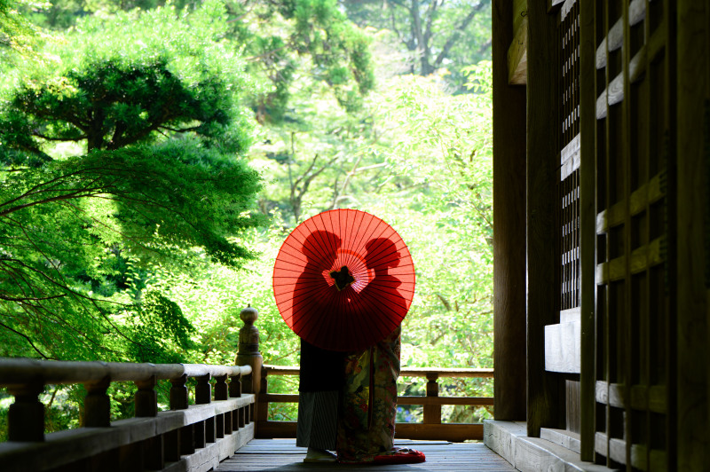 《 シルエットショット 》