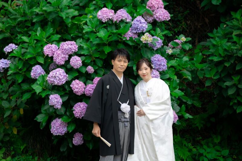 瑞泉寺では紫陽花たちがお二人をお出迎え。