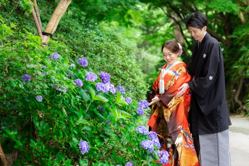 妙本寺では紫陽花たちがお二人をお出迎え。