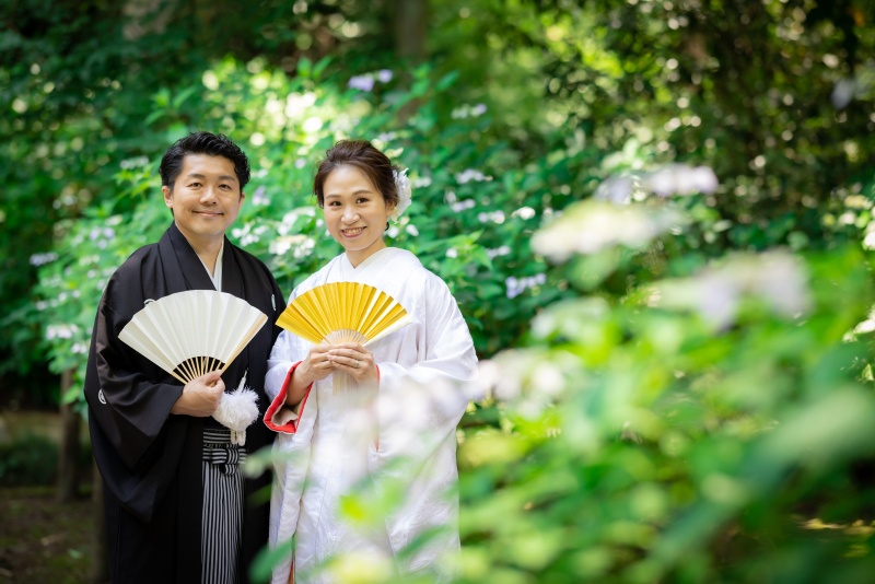 紫陽花が咲き始めていました♡