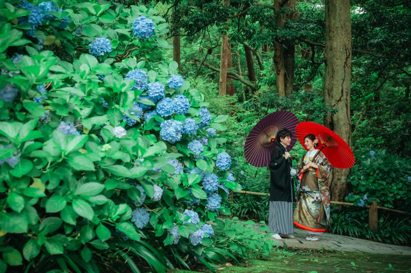 撮影場所は妙本寺になります。