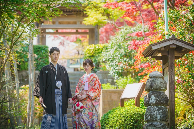 １年で一番緑が綺麗な新緑の季節