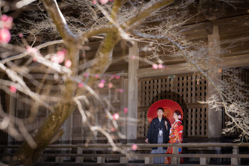 梅の花越しのお二人。