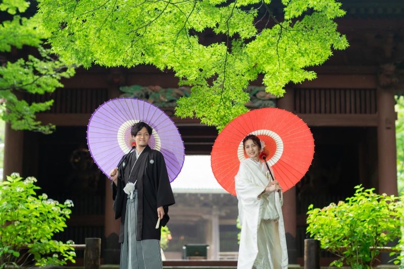 しっとりと雨露に濡れた新緑も美しさも、見事です。