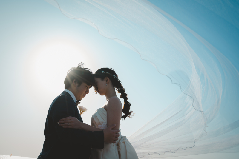 《 ベールショット 》