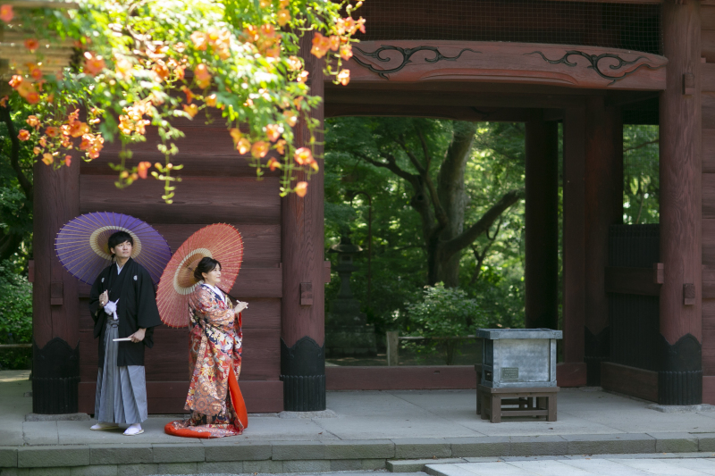 ノウゼンカズラも鮮やかに咲いていましたよ。