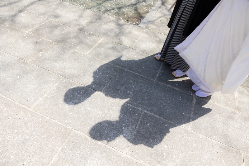 シルエットもお撮りしました。