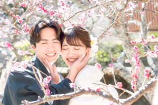 梅が咲く時期の寺院と城ケ島での撮影