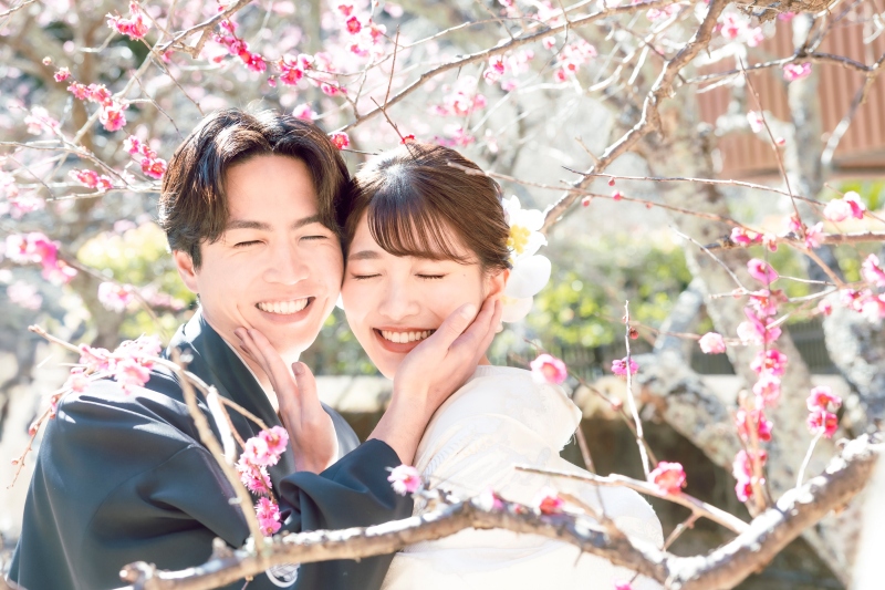 梅が咲く時期の寺院と城ケ島での撮影