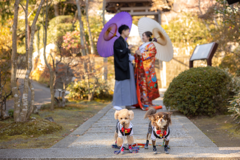 柔らかい日の光と愛犬たちがお二人を祝福。