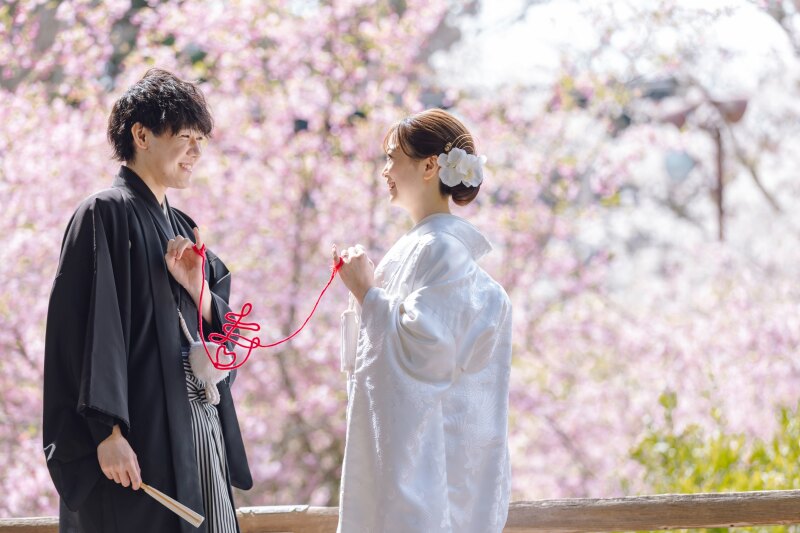 4月の和洋弐点プラン～妙本寺・海岸～