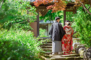 １年で一番緑が綺麗な新緑の時期