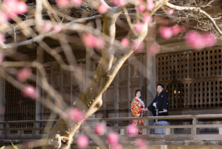 1月の和洋弐点プラン～妙本寺＆材木座海岸～