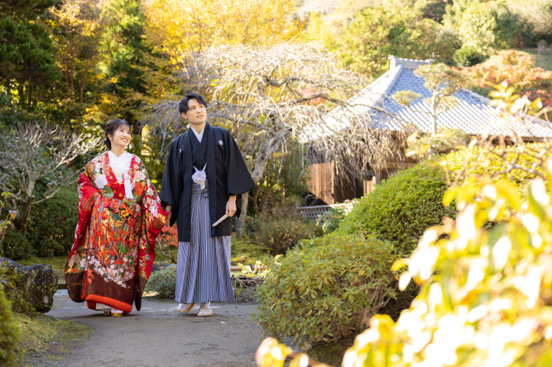 境内を仲良くお散歩。