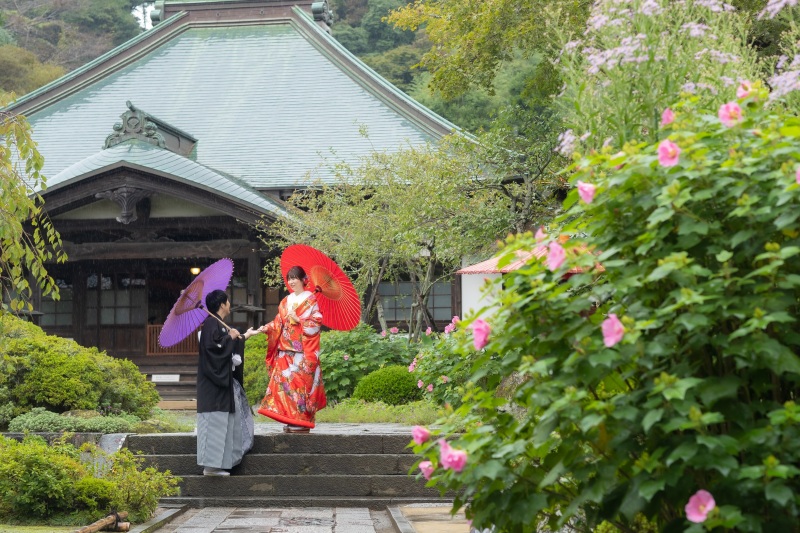 芙蓉や紫苑の花も咲いて、お庭が賑やかです。