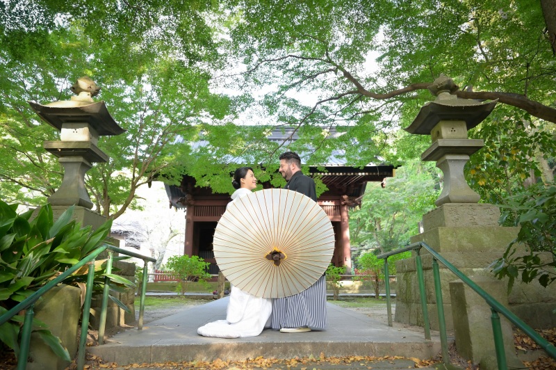 妙本寺にはまだ緑がいっぱい！