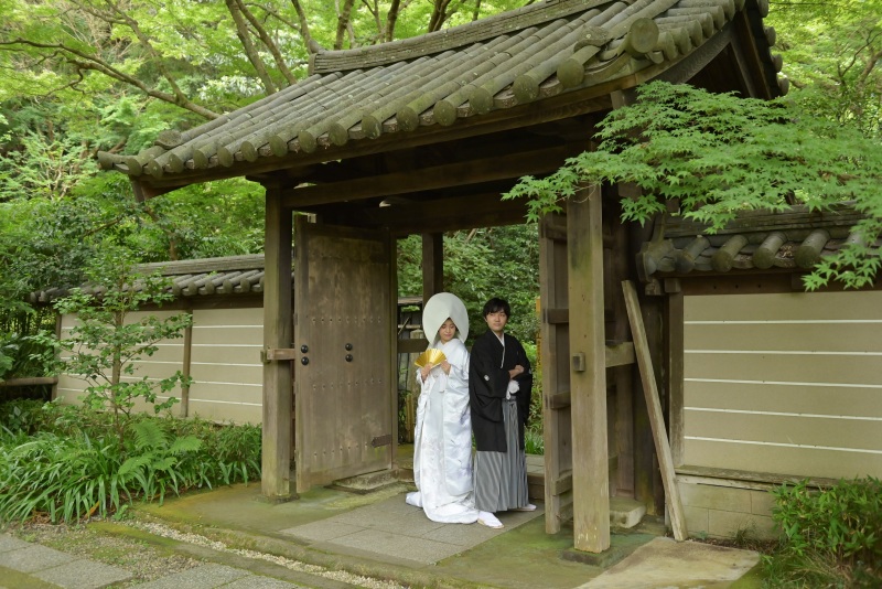 雨に濡れてしっとりとした緑がお二人を包みます。
