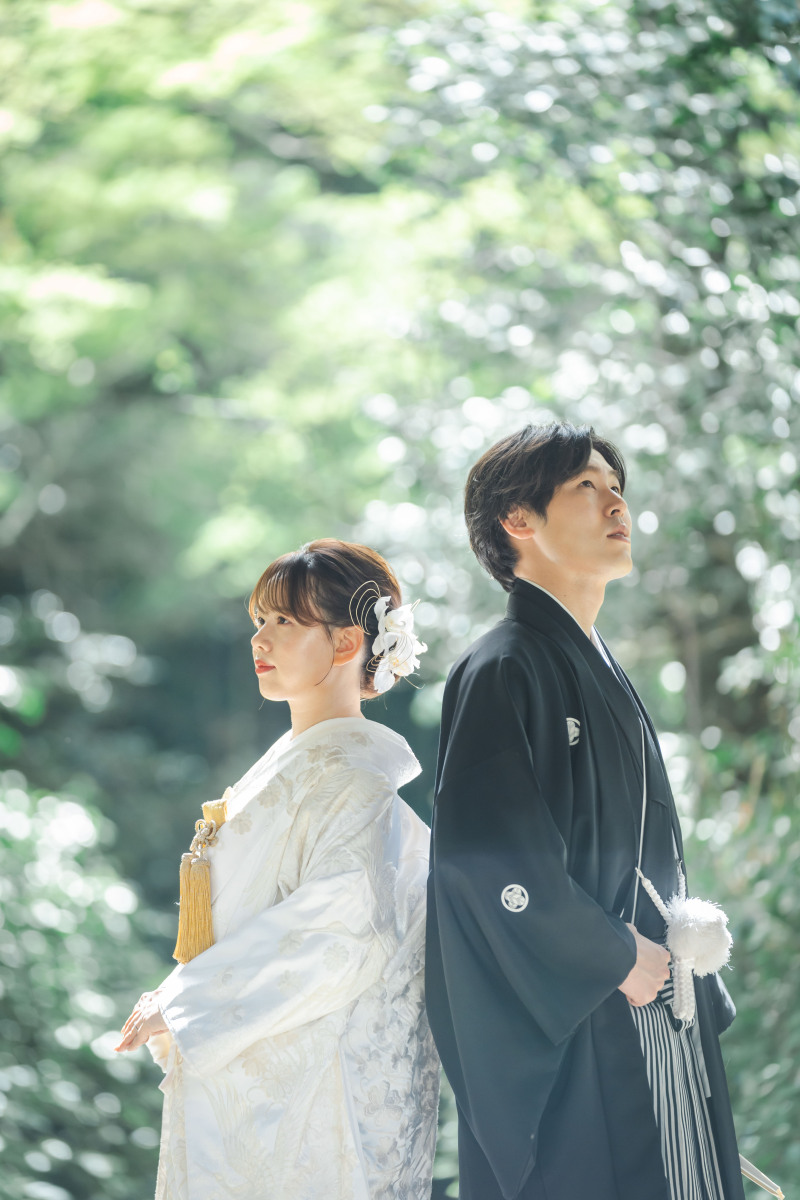 《 夏のような1枚 》