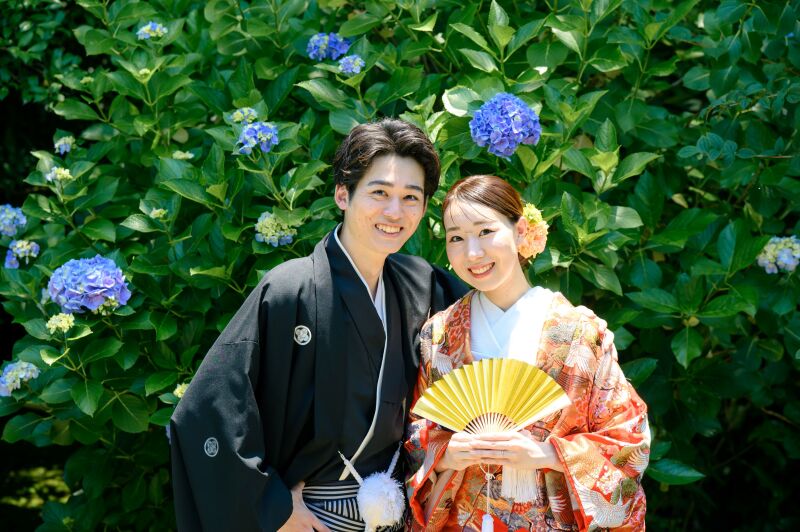 紫陽花が咲き始めました！